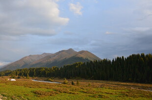 山间绿野 静谧自然风光