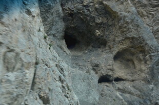 岩石上的洞穴与小动物