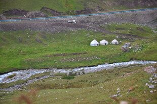 草原溪流边的羊群