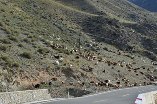 蜿蜒山路旁的山坡景色