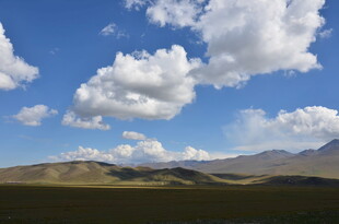 蓝天白云下的广袤原野