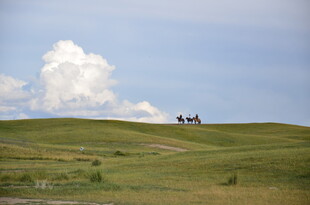 草原上的骑行风景