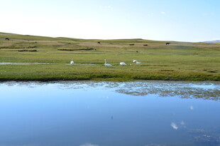草原湖畔风光
