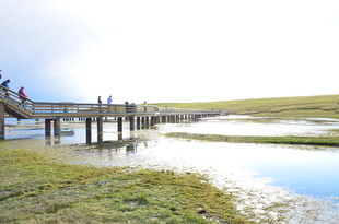 湖畔木栈道风景
