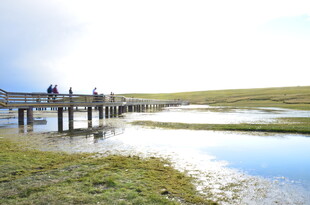 湖畔木栈道风景