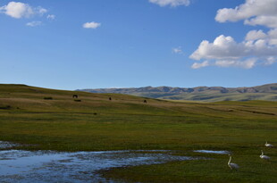 草原湿地风光美景