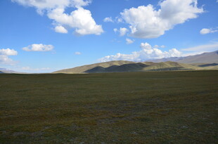 广袤草原与蓝天白云美景