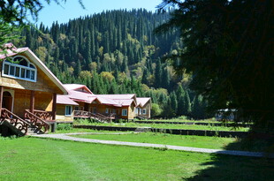 山间木屋旁的翠绿草坪