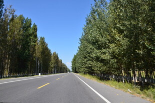 林间公路 畅享开阔风景