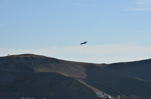 天空中飞行的飞机与山峦