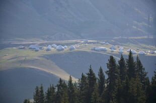 山间村落隐于葱郁林木间