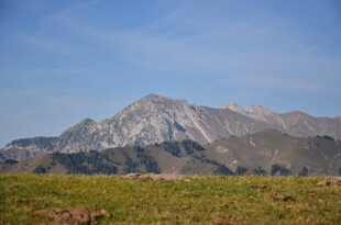 壮丽山景与翠绿草地