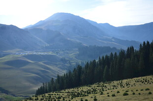 壮丽山景与葱郁森林