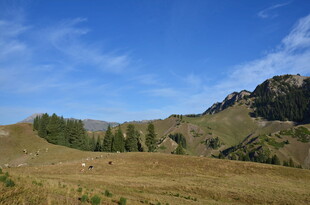 山间美景 蓝天白云草地