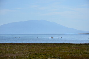 海边远景 远山与开阔水域