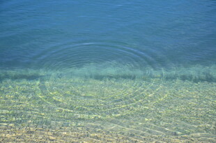 清澈水底泛起圈圈涟漪