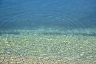 清澈水面泛起层层涟漪