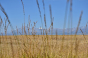 广袤草原 蓝天映衬的美景