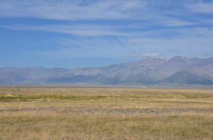 广袤草原与远处山峦景色