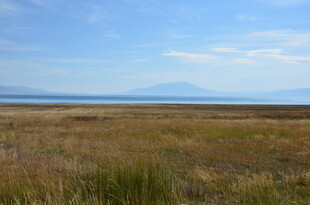 广袤草原与远处山峦景观