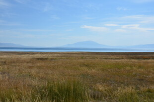 广袤草原与远处蓝天相接