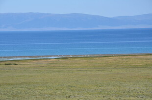 草原边的辽阔蓝色水域