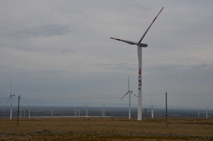 草原上的风力发电机组