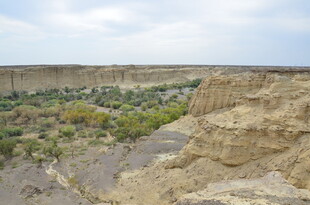 黄土沟壑间的绿意景观