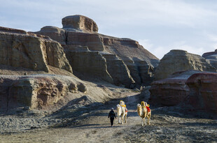 荒漠中的探险者