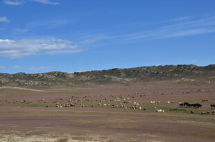 广袤旷野蓝天白云景色