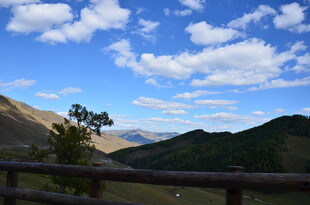 山间美景 蓝天绿树与远山