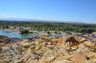 五彩斑斓的河畔自然风光