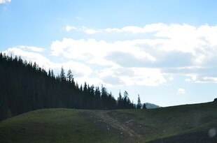 山间美景 蓝天白云伴绿树