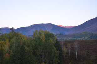 山间暮色中的葱郁树林