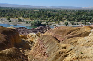 五彩斑斓的壮丽山地景观