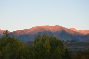 夕阳下的山峦与葱郁树木