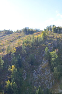 山坡绿意盎然的自然景致