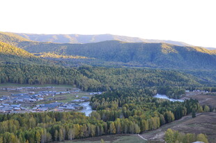 山间村落秋景 林木环绕