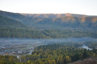 山间晨景 森林与薄雾交织