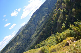 青山葱郁间的壮美山景