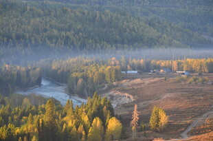 秋日山林间的蜿蜒河流