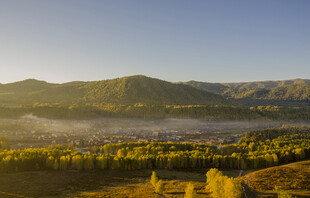 秋日晨雾中的山林美景