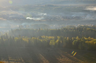秋日山林晨雾景观