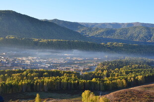 山间晨雾中的多彩树林景观