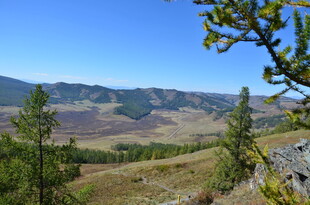 山间美景 绿意盎然的风光