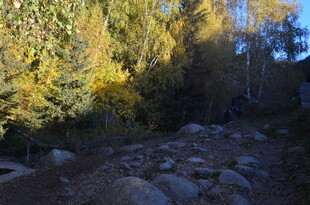 秋日林间碎石小径