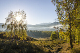 山间晨光中的清新自然景色