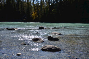 清澈溪流中的圆润石头