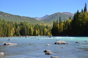 山间清澈河流与葱郁树林