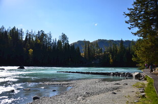美丽河边森林自然风景